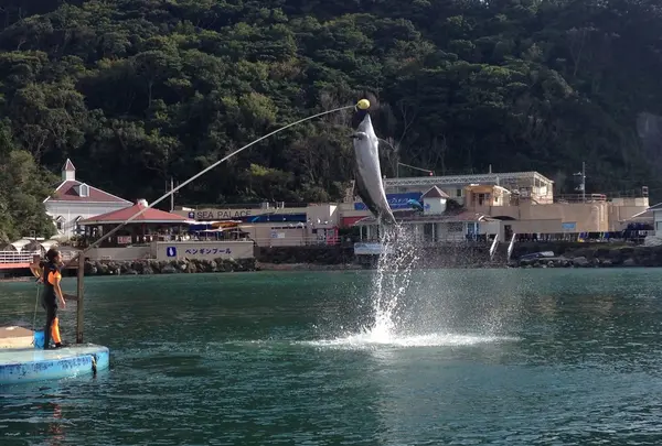 下田海中水族館