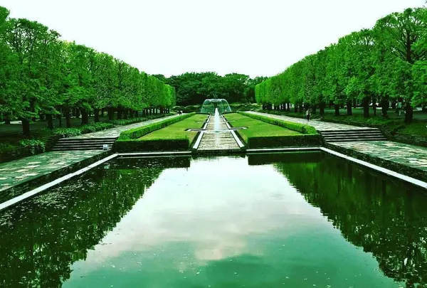 国営昭和記念公園