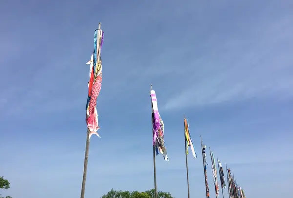 遠賀川 鯉のぼりまつりの写真・動画_image_177763