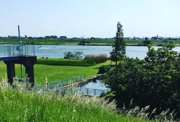 江戸川河川敷緑地