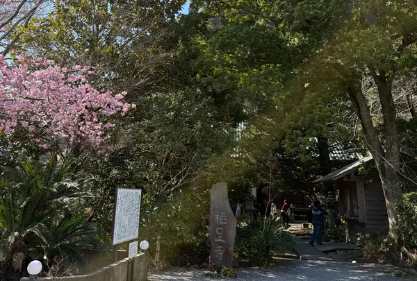 栖足寺の写真・動画_image_1778601