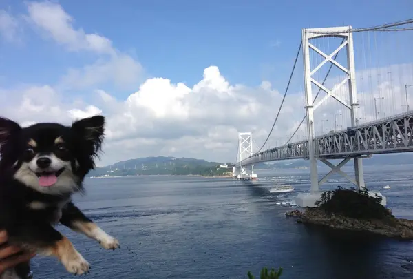 大鳴門橋