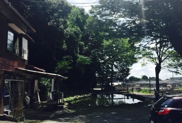 多摩川養殖つり堀場の写真・動画_image_178725