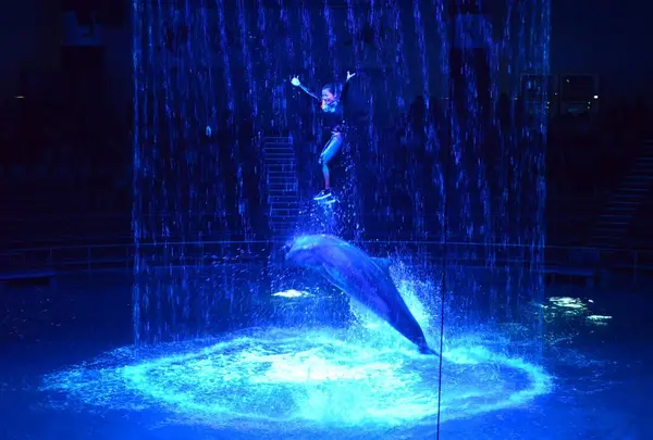 エプソンアクアパーク品川 (EPSON AQUA PARK SHINAGAWA)