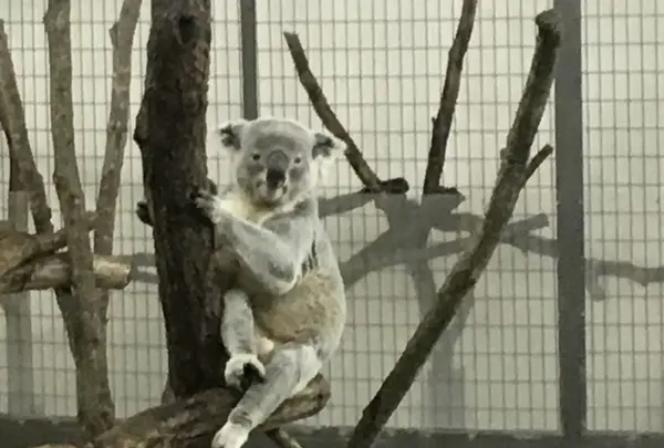 東京都多摩動物公園