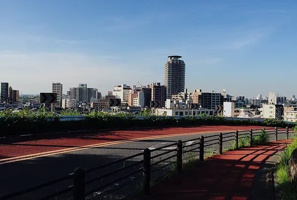 いろは坂の写真・動画_image_178974