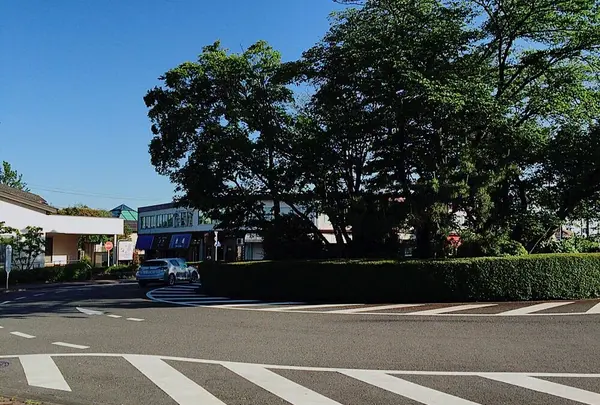 桜ヶ丘ロータリー