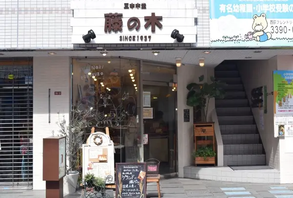 藤の木