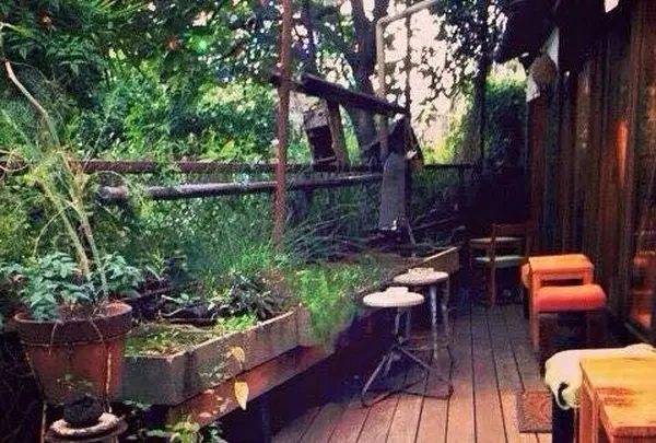 cafe momo gartenの写真・動画_image_179312