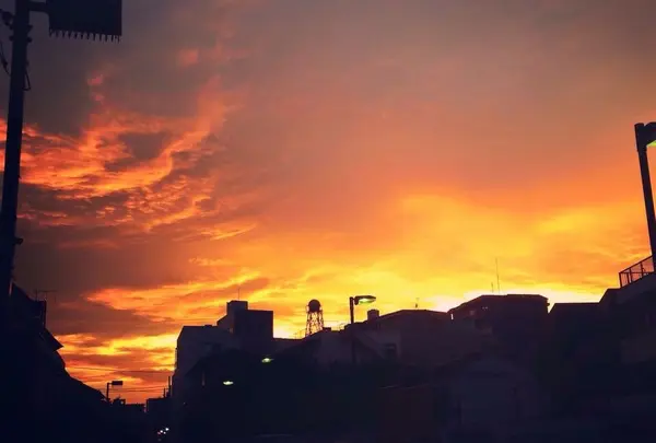桃園川緑道