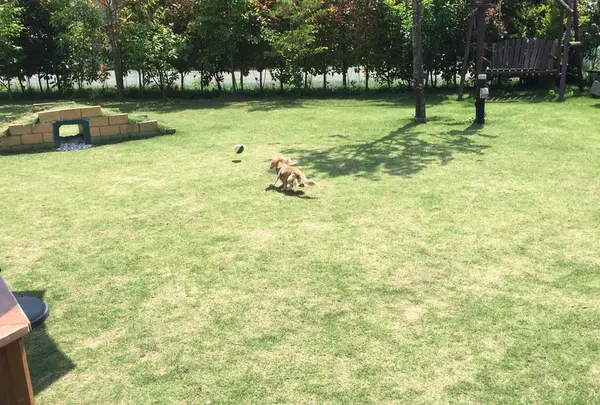 山崎町田井２２８の写真・動画_image_179387