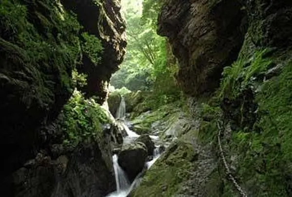 神戸岩の写真・動画_image_179765
