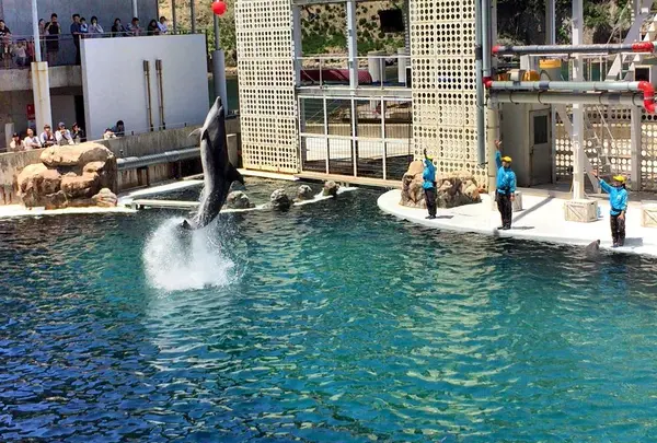 城崎マリンワールドの写真・動画_image_179795