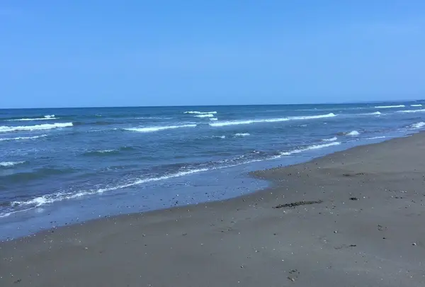 千里浜海岸
