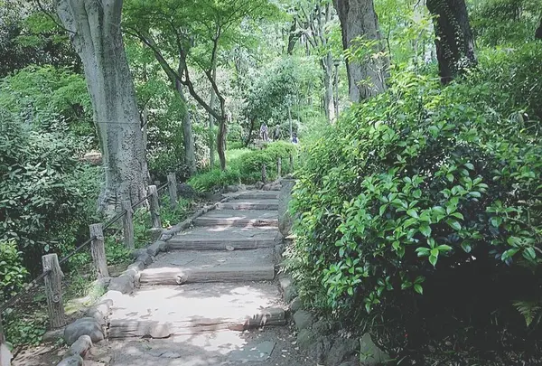 有栖川宮記念公園の写真・動画_image_180173