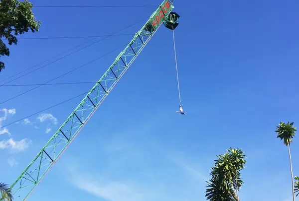 Jungle Bungy Jump