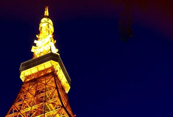 東京タワーの写真・動画_image_181049