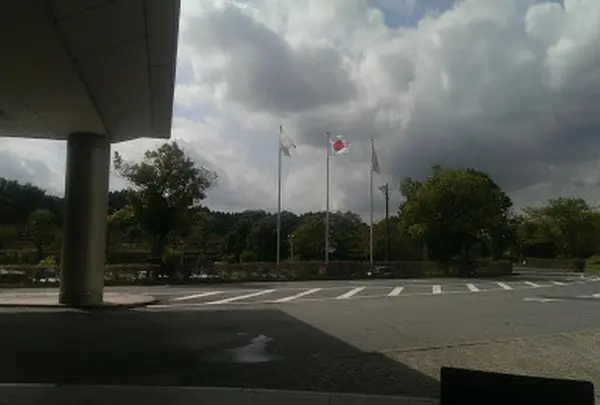 Crowne Plaza Ana Narita