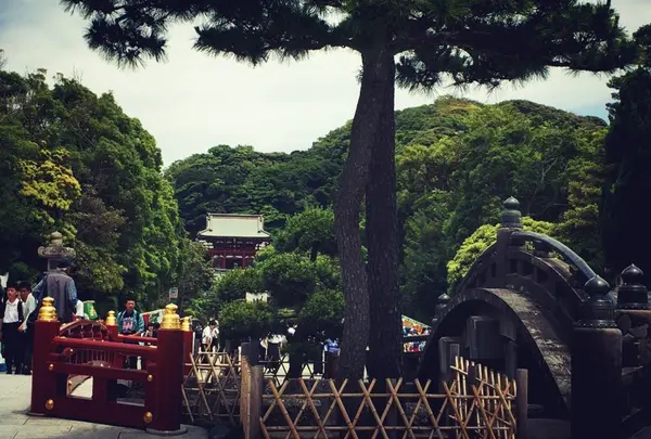鶴岡八幡宮