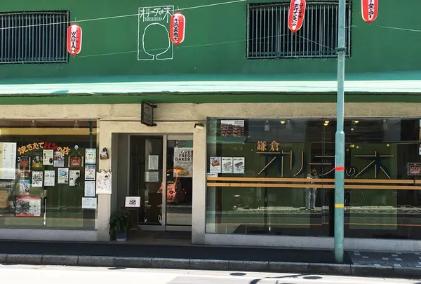 鎌倉オリーブの木