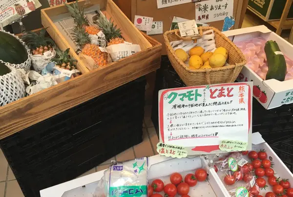 神楽坂野菜計画の写真・動画_image_181338