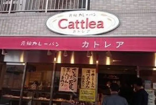 カトレア