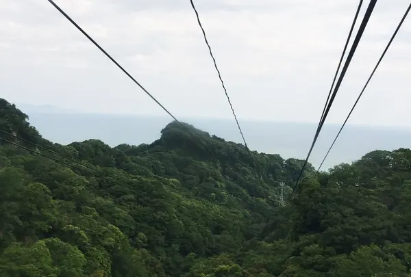 日本平ロープウェイの写真・動画_image_181679