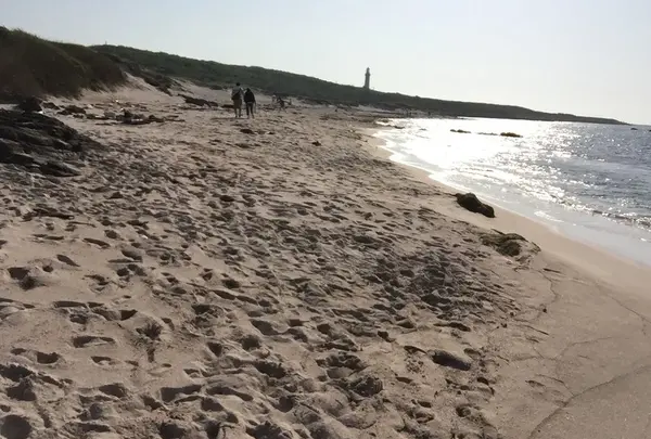 つのしま自然館