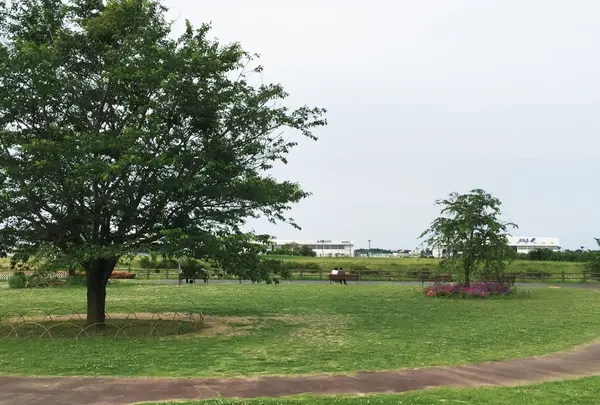 三里塚さくらの丘の写真・動画_image_182260