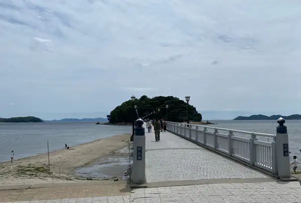 竹島の写真・動画_image_1823798