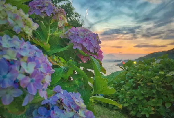 稲村ケ崎海浜公園