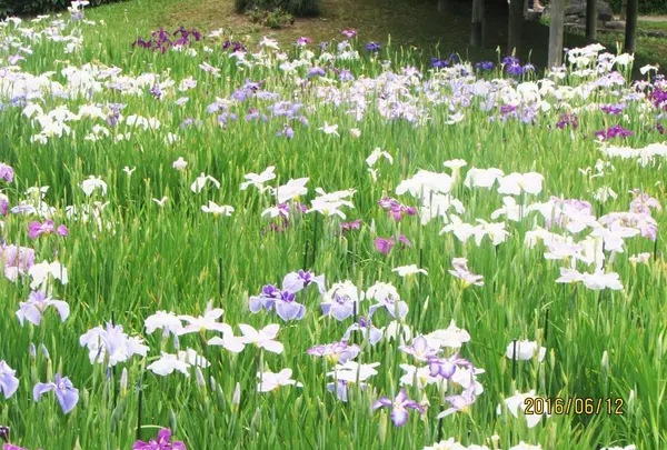 小石川後楽園