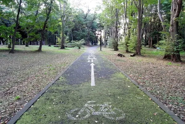 代々木公園サイクリングコース