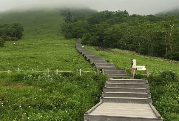 霧降高原 キスゲ平園地