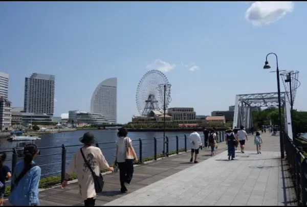 汽車道（港１号・２号・３号橋梁旧臨港線護岸）の写真・動画_image_182876
