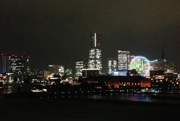 横浜港大さん橋国際客船ターミナル（大さん橋）の写真・動画_image_182886