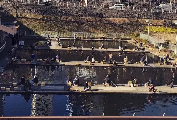 市ヶ谷フィッシュセンターの写真・動画_image_182966
