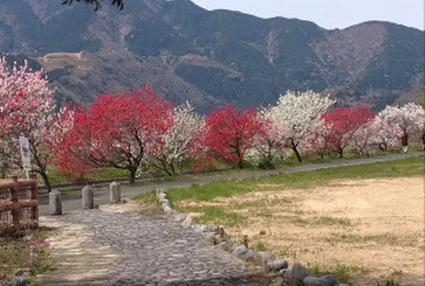 関市武芸川温泉ゆとりの湯