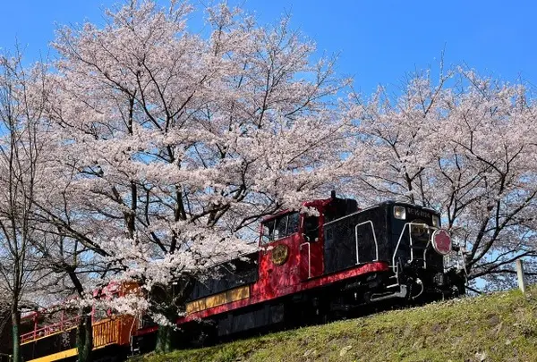 トロッコ亀岡駅観光案内所