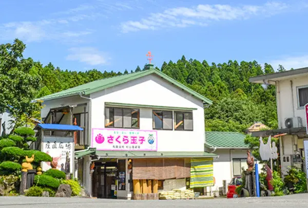 さくらたまご杉山