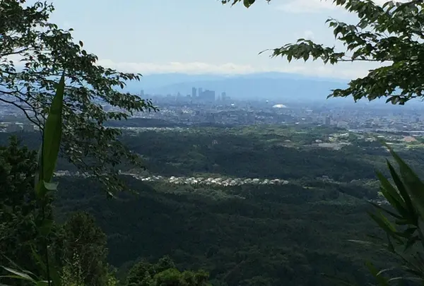 物見山