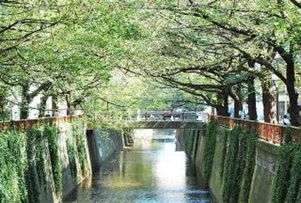 目黒川