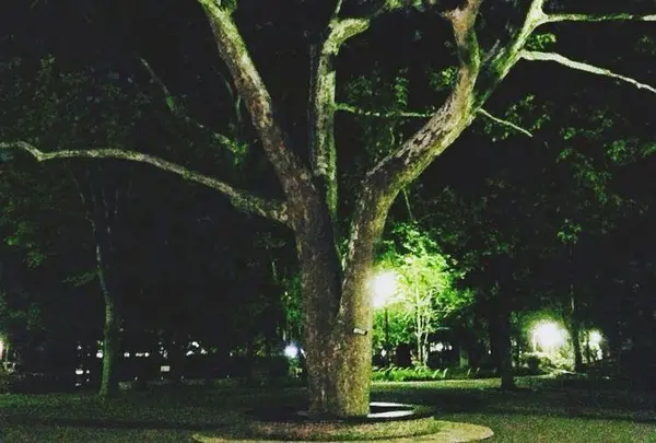 蚕糸の森公園の写真・動画_image_183886