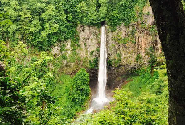 白水の滝