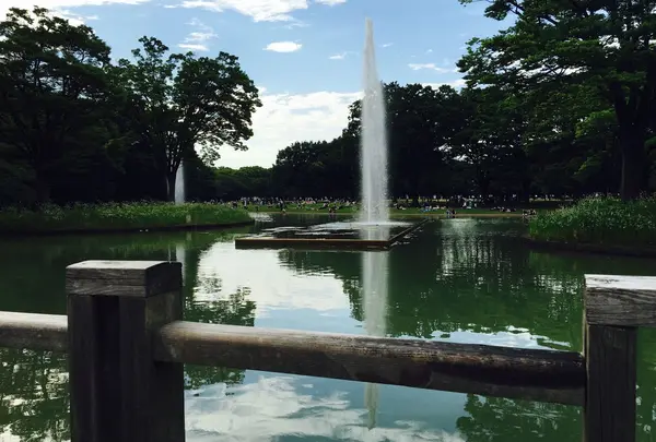 代々木公園