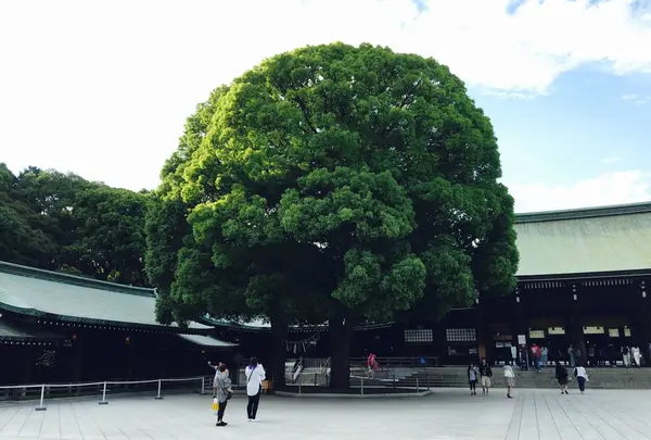 明治神宮