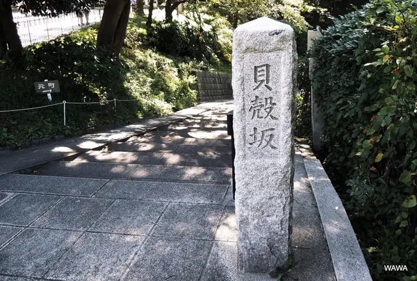 貝殻坂の写真・動画_image_184288
