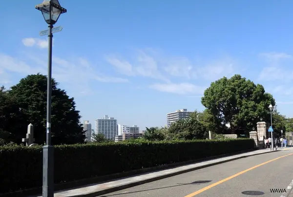 山手本通り