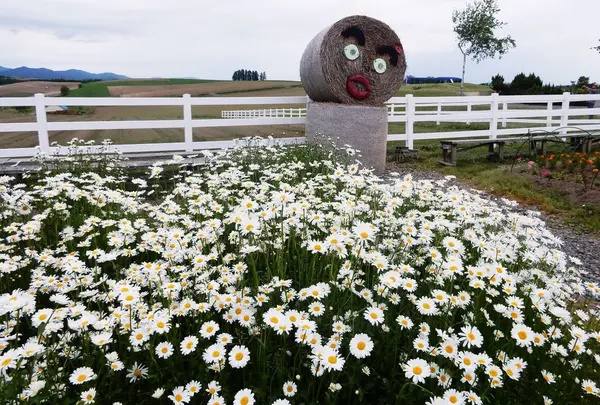新栄の丘 展望公園