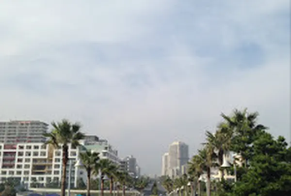 浦安市総合公園